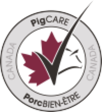 PigCARE/PorcBIEN-ETRE